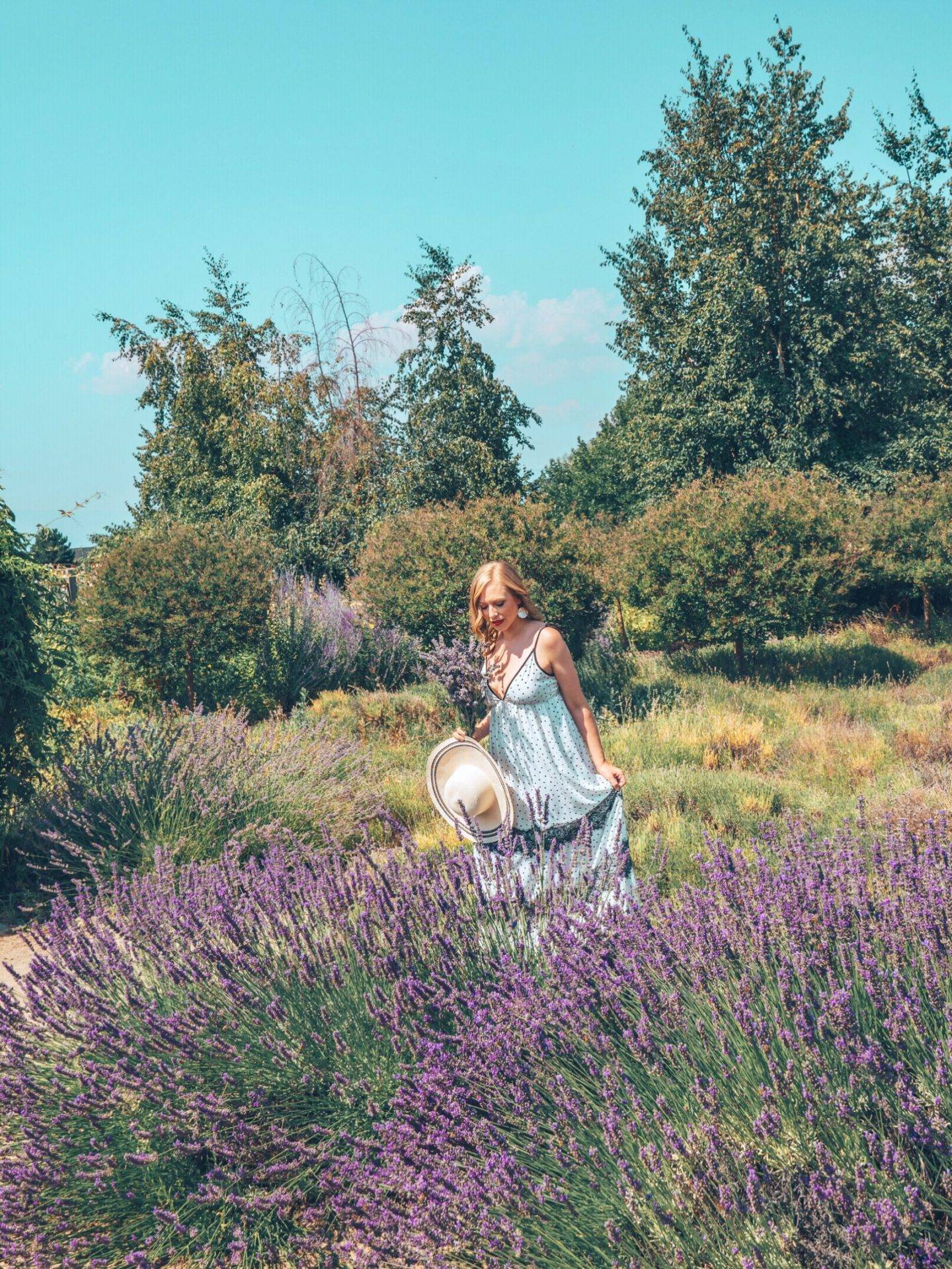 Looking for the most beautiful Instagrammable places in Kelowna? Check out this guide to find the best photography spots in Kelowna! 

Pictured here: The Okanagan Lavender and Herb Farm