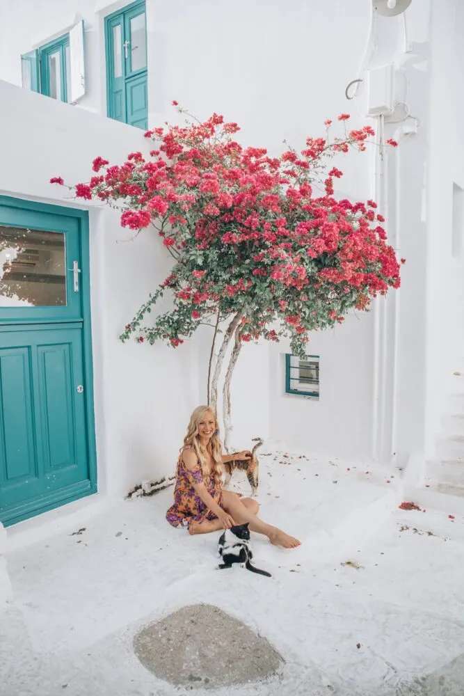 Most Instagrammable Places in Mykonos: Get your photo in the streets with the cute stray kitties and some bougainvillea. Click the photo to see the rest of my list of the most instagrammable places in Mykonos! 