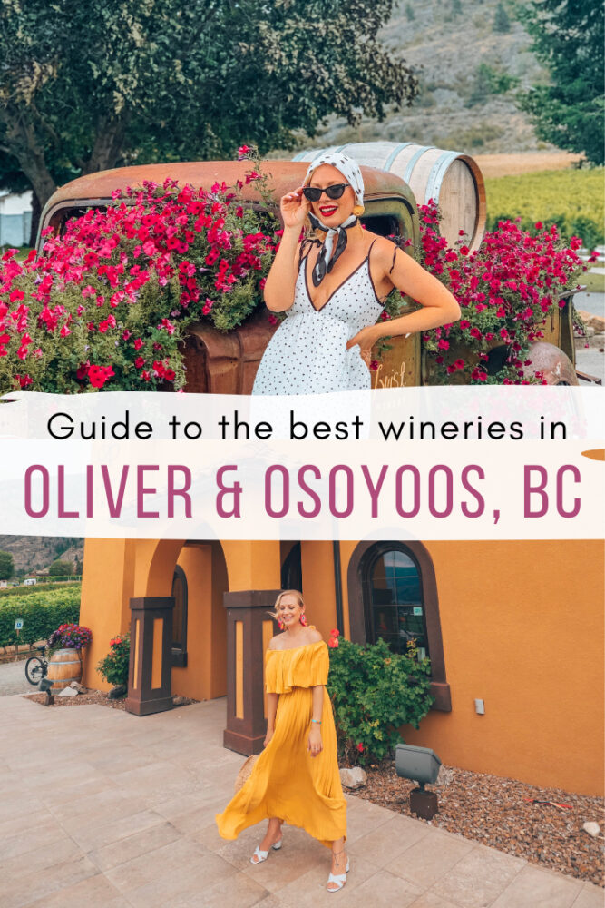6 Oliver & Osoyoos Wineries you need to visit! Click the photo for the entire list.