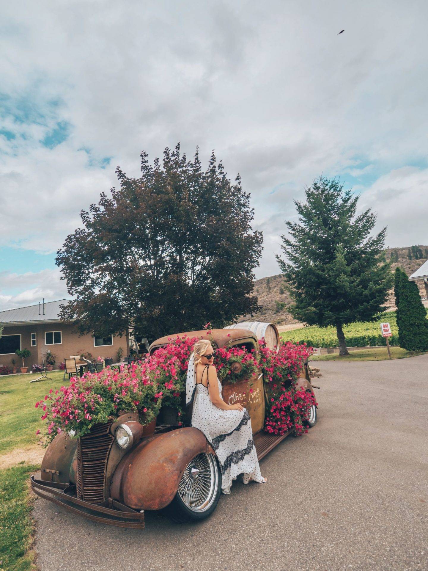 6 Oliver & Osoyoos Wineries you need to visit! Click the photo for the entire list. Featured here: Oliver Twist Estate Winery in Oliver BC
