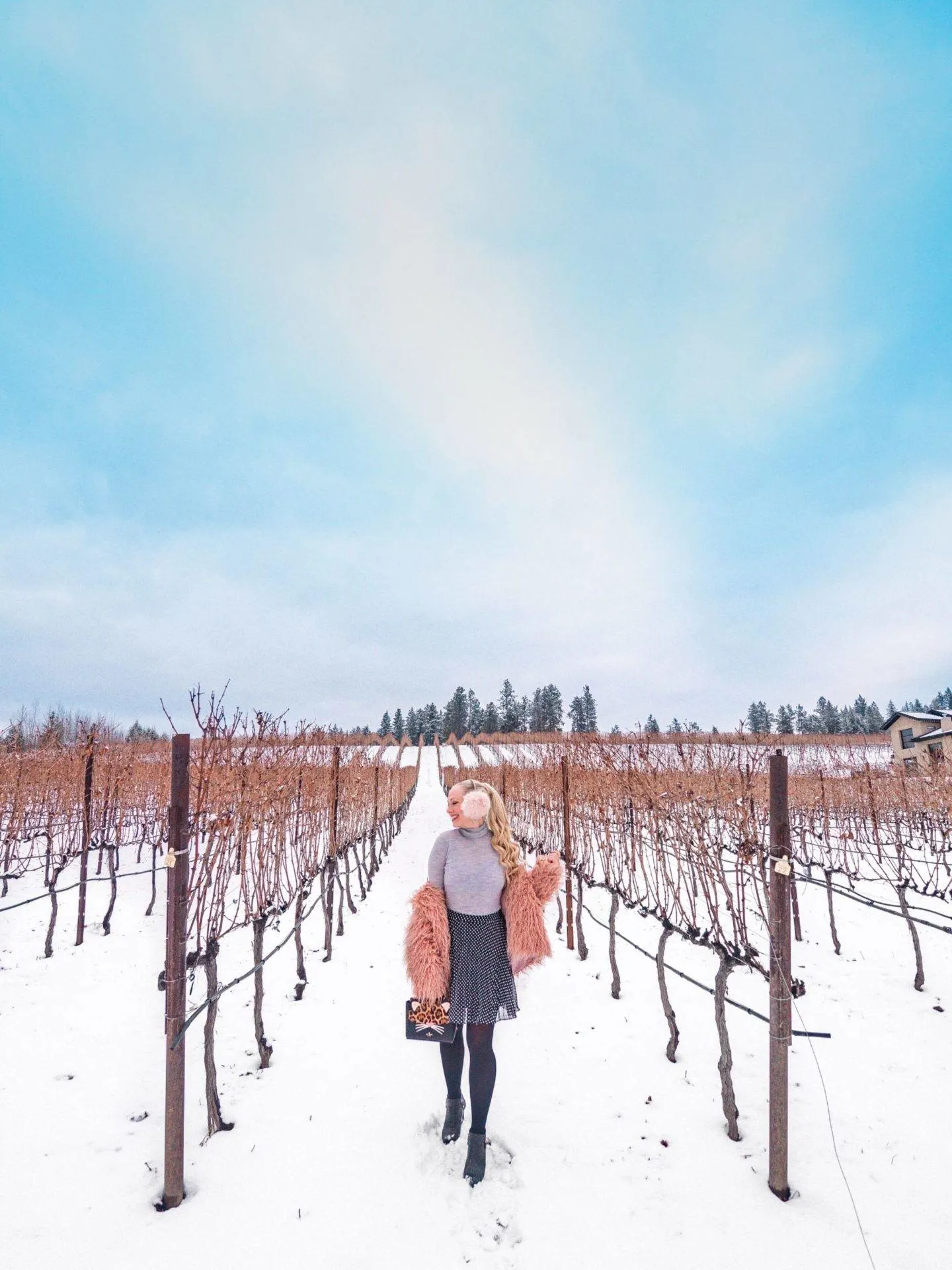 Ex Nihilo Vineyards (featured here) is a winery that excels in high quality and superb wines. Click for the rest of the list of our favourite wineries of Lake Country!