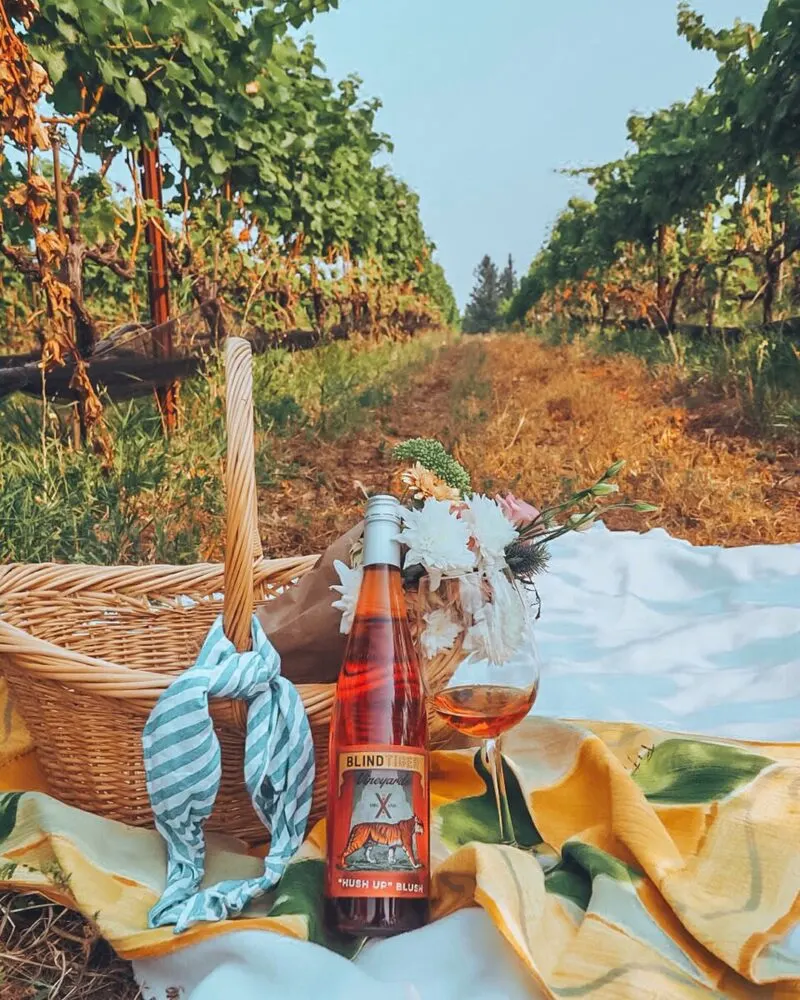 Blind Tiger Vineyards (featured here) is a superb family owned small organic winery in Lake Country. Click for the rest of the list of our favourite wineries of Lake Country!