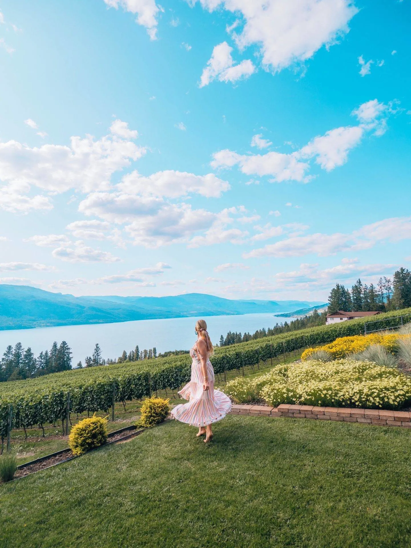 Arrowleaf Cellars (featured here) has one of our favourite views in Lake Country. Click for the rest of the list of our favourite wineries of Lake Country!