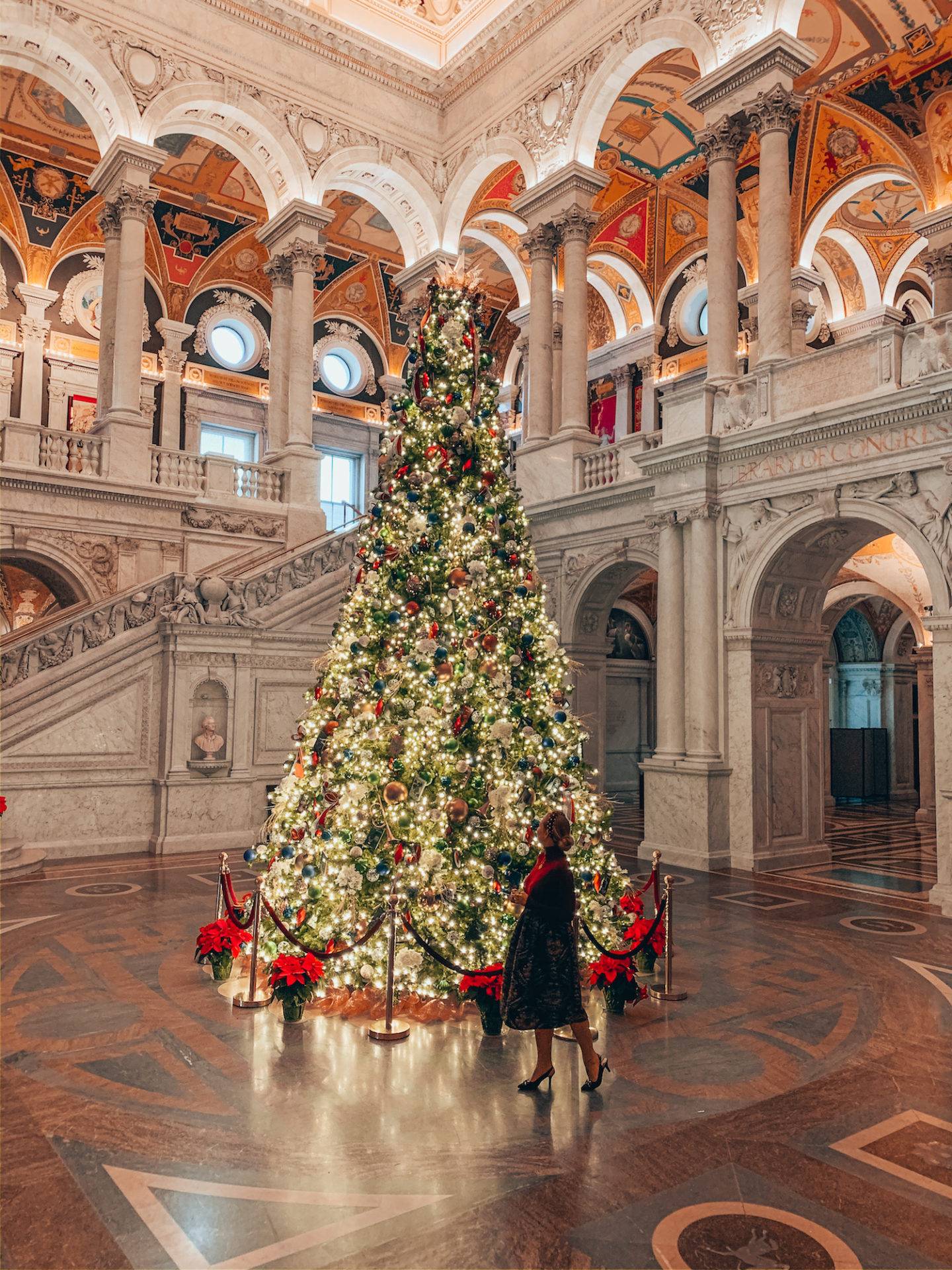 Festive things to do in Washington at Christmas time: Visit the Library of Congress and check out their beautiful Christmas tree.