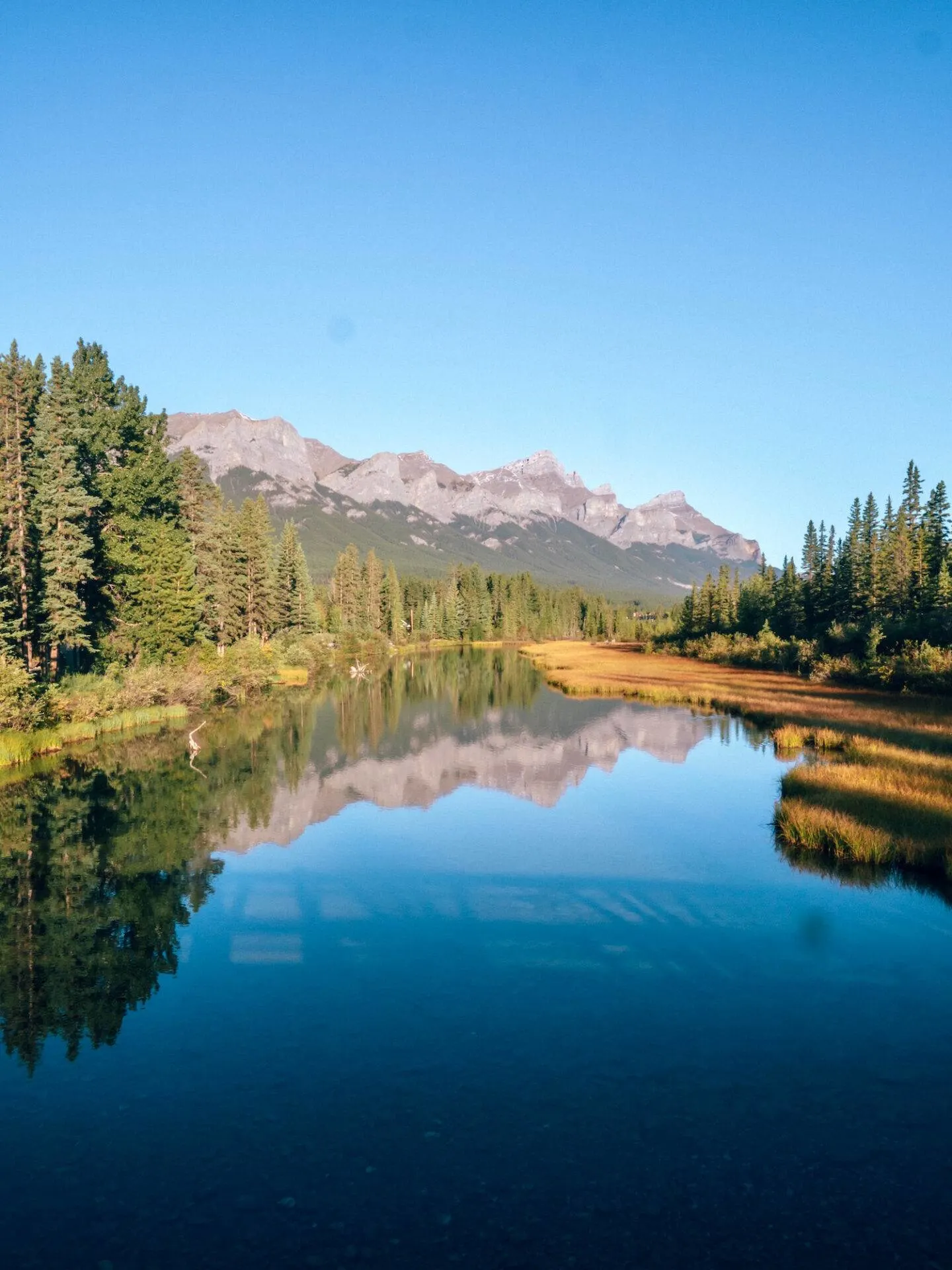 Visiting Banff National Park soon? Don't miss this guide of the 50 best things to in Banff for every kind of traveler! I recently spent 8 days exploring the area and took notes along the way so I could write you the most comprehensive guide possible. This guide includes all the top attractions, hikes, restaurants, and sights you definitely won't want to miss when you visit Banff National Park. I also include any tips you might need when visiting the area! Pictured here: Stroll along Policeman's Creek Boardwalk in Canmore