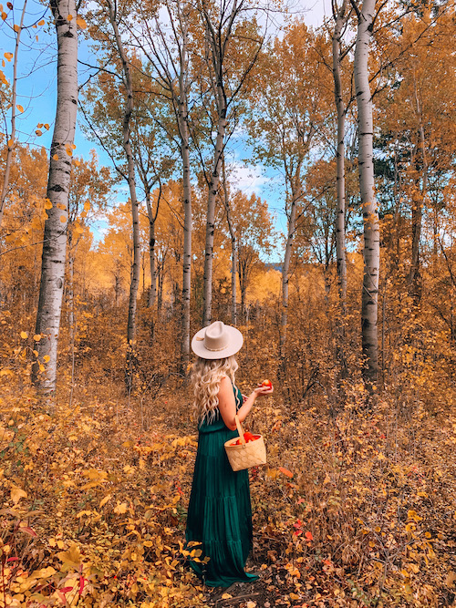 10 Fall Photoshoot Outfit Ideas + Styling Tips - tosomeplacenew
