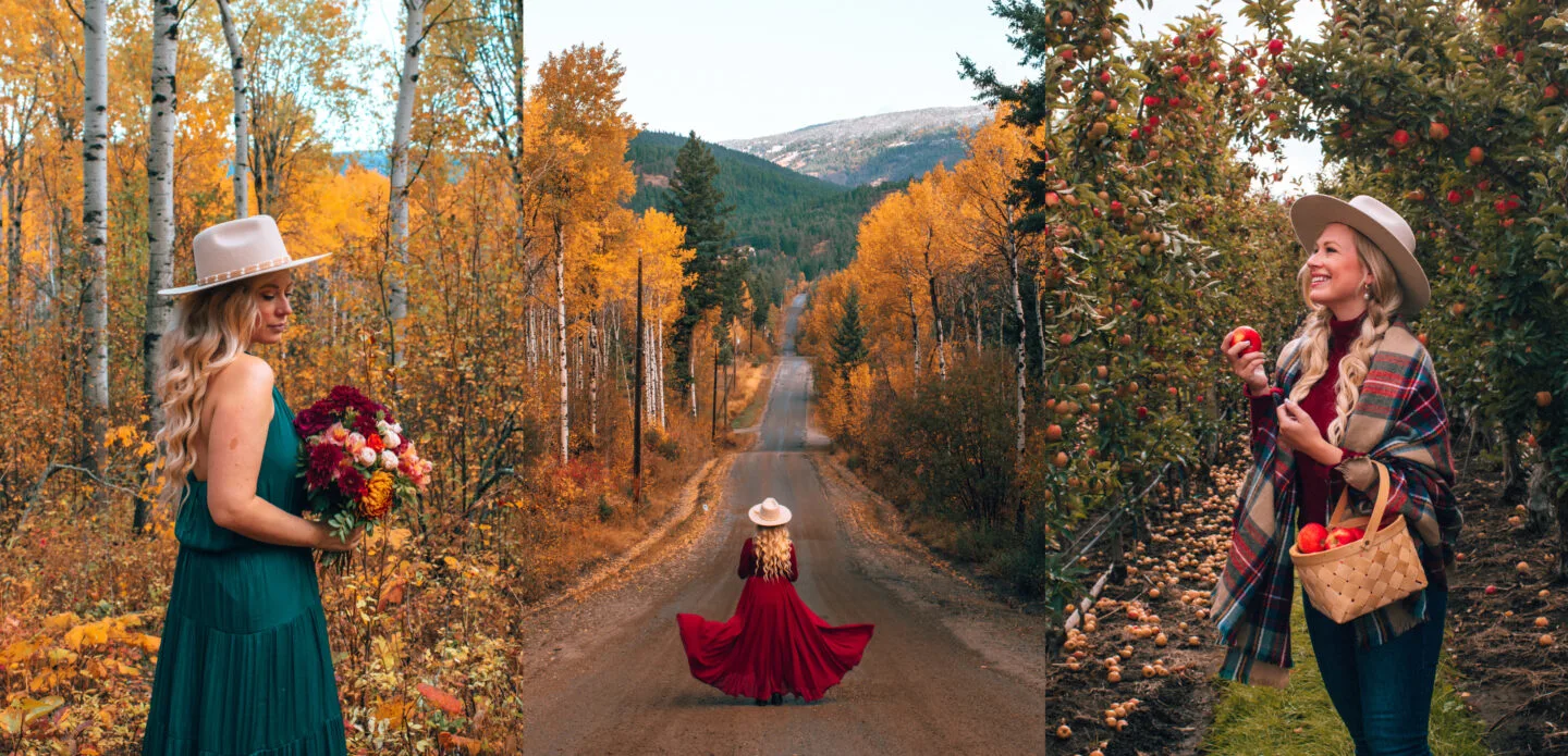 Perfect one click fall Lightroom presets for mobile and camera photos. These autumn presets will give you a beautiful warm autumn feed aesthetic! Easy to download for both mobile and desktop they are sure to give you the perfect fall feed. 