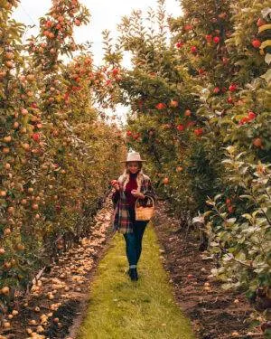 Looking for some unique and creative fall photoshoot ideas to try out this autumn? Heres a list of 20 fall photography ideas that will help you achieve the fall aesthetic of your dreams. Whether you want to aim for destination photography, try your hand at shooting with props, or want to get spooky for the Halloween season. This post has all sorts of fall photography ideas to help you get some really fun seasonal fall photos for your instagram.