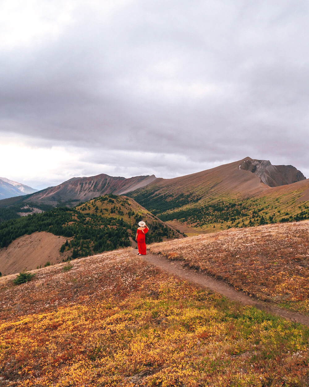 Planning a trip to Jasper National Park soon? Here's a local's guide to some of the best things to do in Jasper. From hikes and trails to adventure sports, family friendly excursions, dining experiences and more. You won't want to miss this guide of the best things to do and places to see in Jasper. Pictured here: Opal Hills Hike
