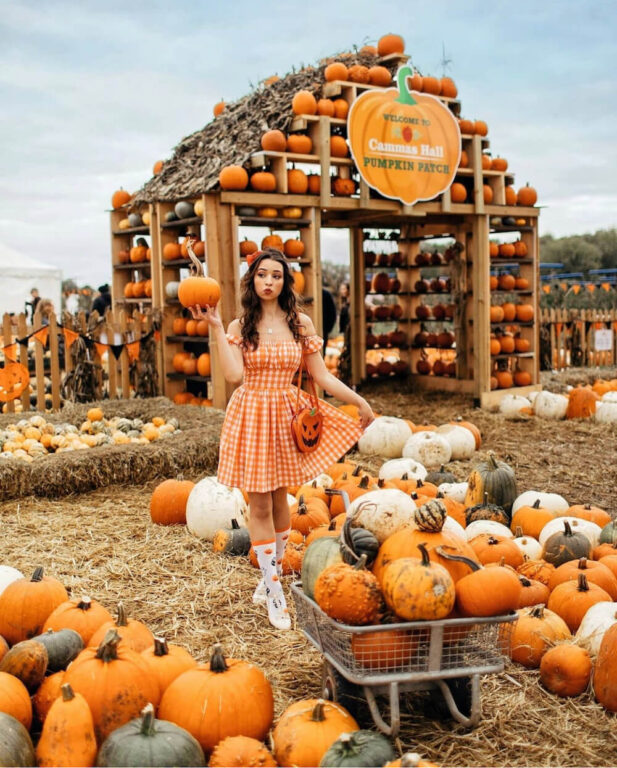 20 Creative Fall Photoshoot Ideas - Fall Photography Inspiration