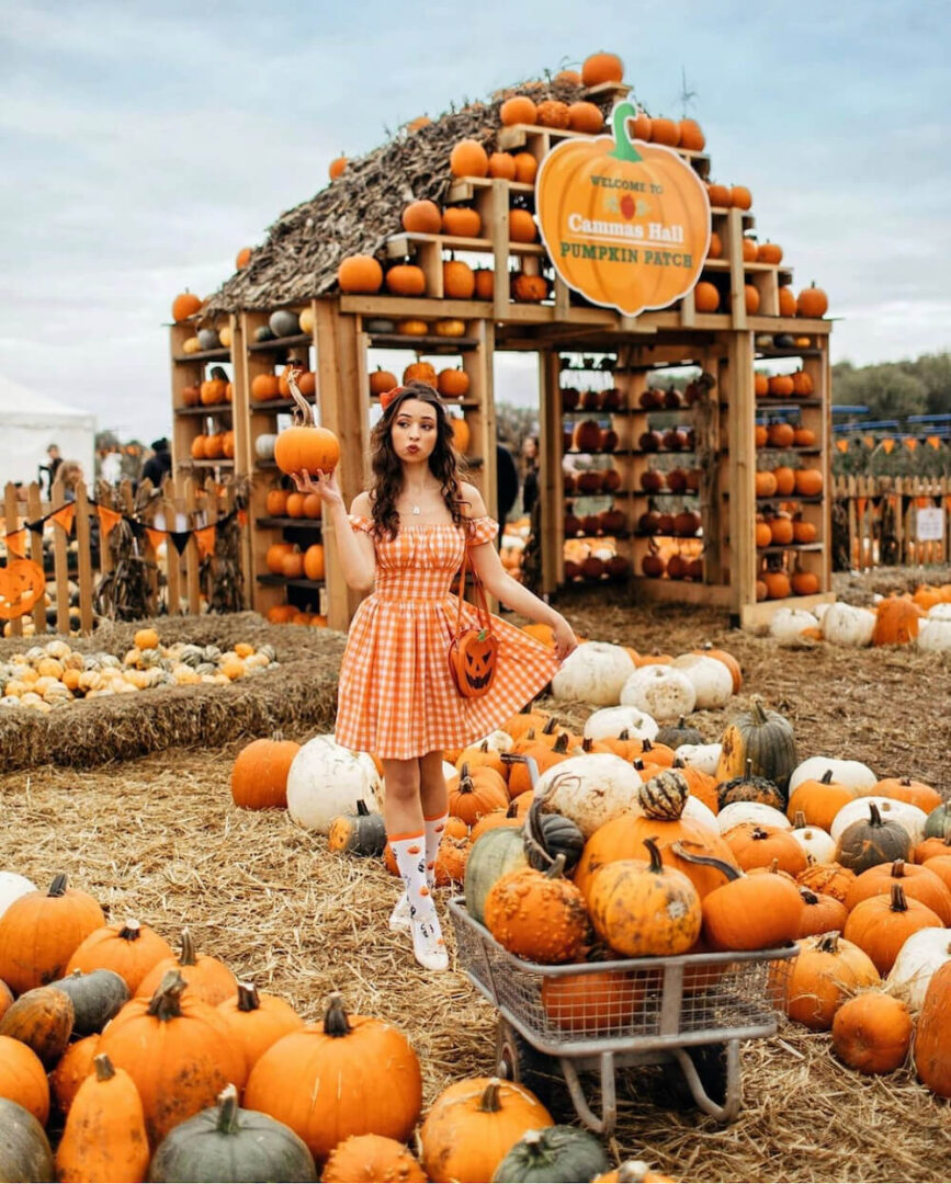 20 Creative Fall Photoshoot Ideas Fall Photography Inspiration 3114