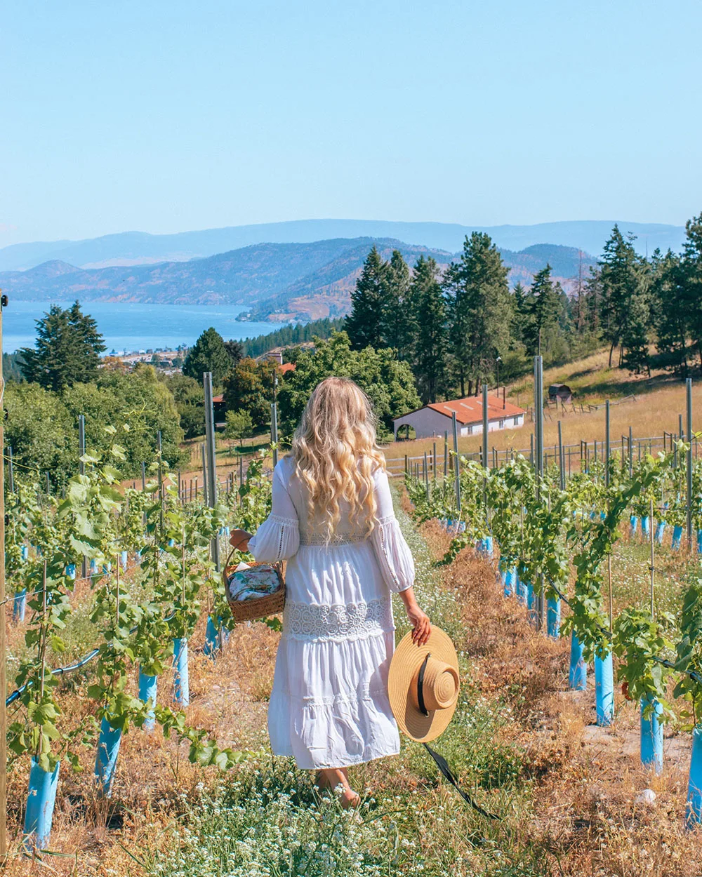 If you're heading to the Okanagan soon and planning on spending time in Kelowna, you don't want to miss this guide to the best wineries in Kelowna! From organic wineries to wineries with the best view, this guide will help you plan your visit to Kelowna’s incredible wine region. Pictured here: Black Swift Vineyards