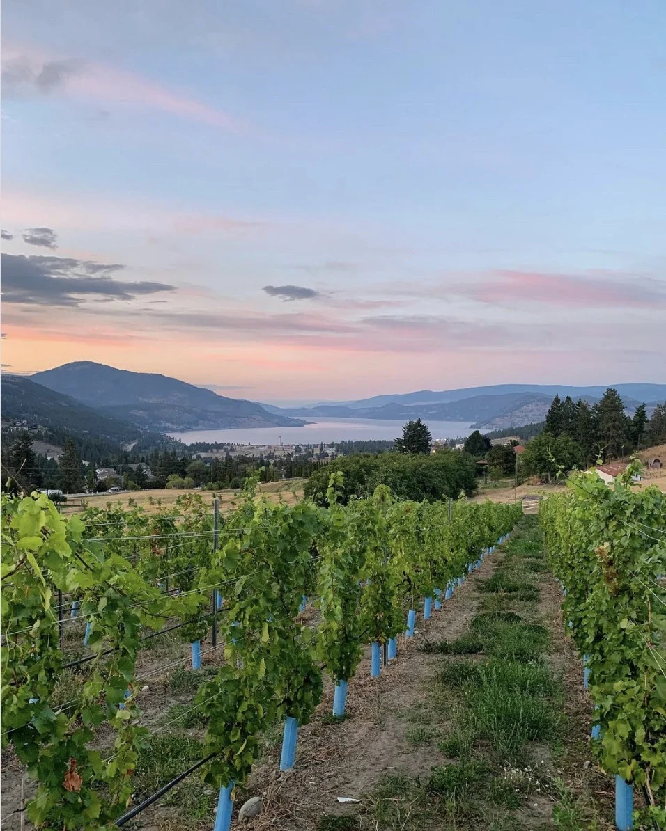 If you're heading to the Okanagan soon and planning on spending time in Kelowna, you don't miss this guide to the best wineries in Kelowna! From organic wineries to wineries with the best view, this guide will help you plan your visit to Kelowna’s incredible wine region. Pictured here: Black Swift Vineyards