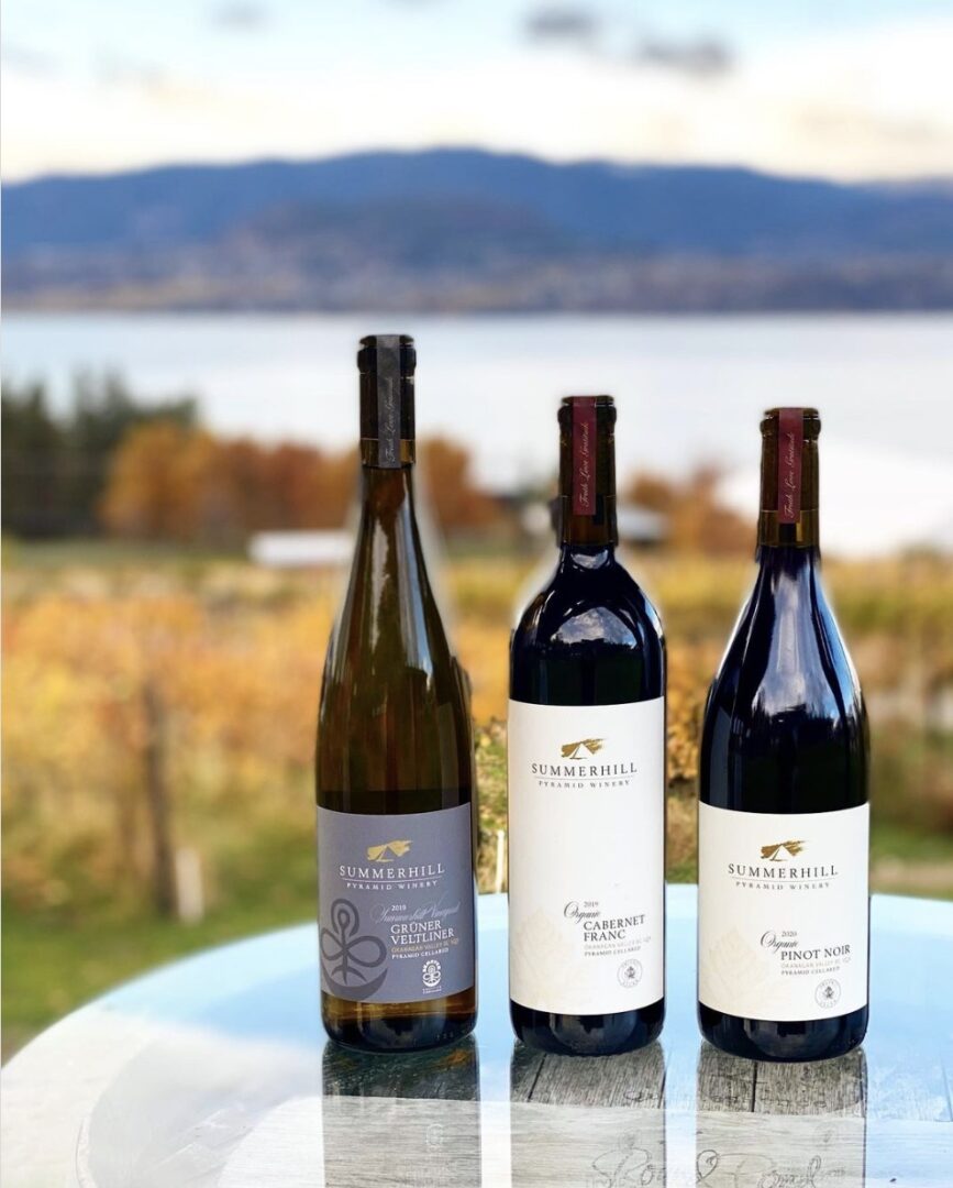 7 Best Wineries in Kelowna for Lunch