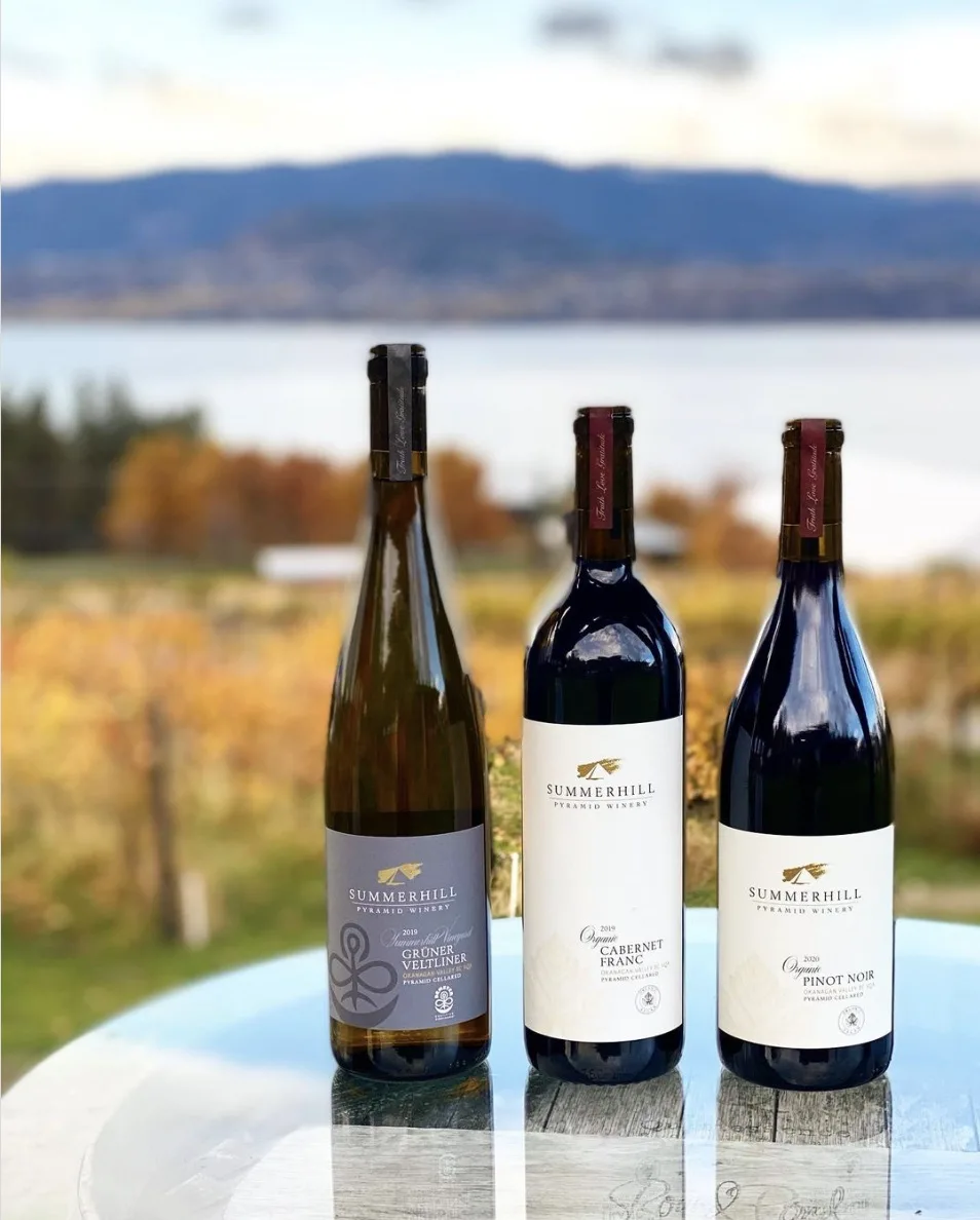 Looking for the best wineries in Kelowna for lunch? This guide is for you! Here's a list of the best Kelowna wineries with restaurants to enjoy an amazing lunch with wine in the sun. Pictured here: Summerhill Pyramid Winery