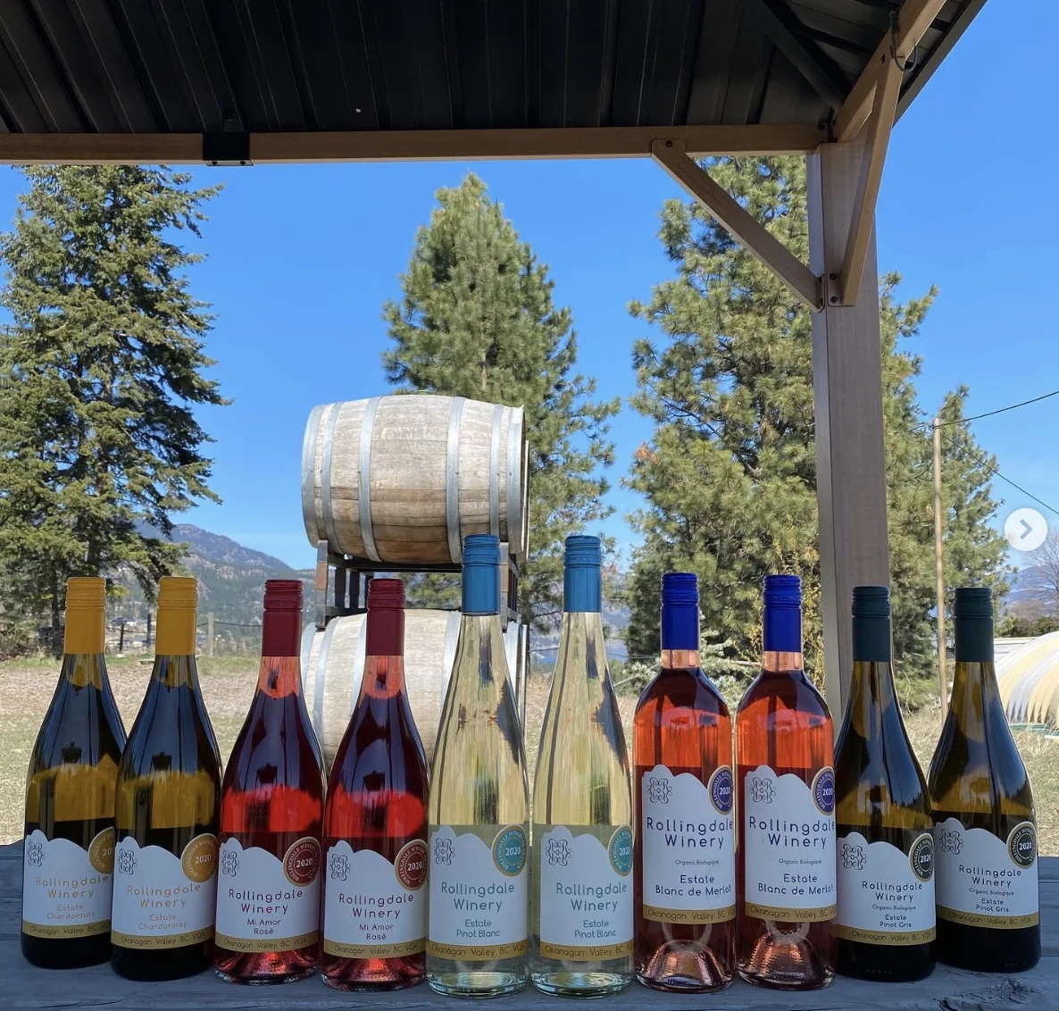If you're heading to the Okanagan soon and planning on spending time in Kelowna, you don't want to miss this guide to the best wineries in Kelowna! From organic wineries to wineries with the best view, this guide will help you plan your visit to Kelowna’s incredible wine region. Pictured here: Rollingdale Winery