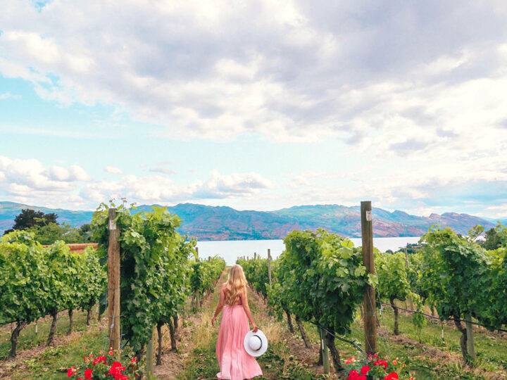 If you're heading to the Okanagan soon and planning on spending time in Kelowna, you don't want to miss this guide to the best wineries in Kelowna! From organic wineries to wineries with the best view, this guide will help you plan your visit to Kelowna’s incredible wine region.