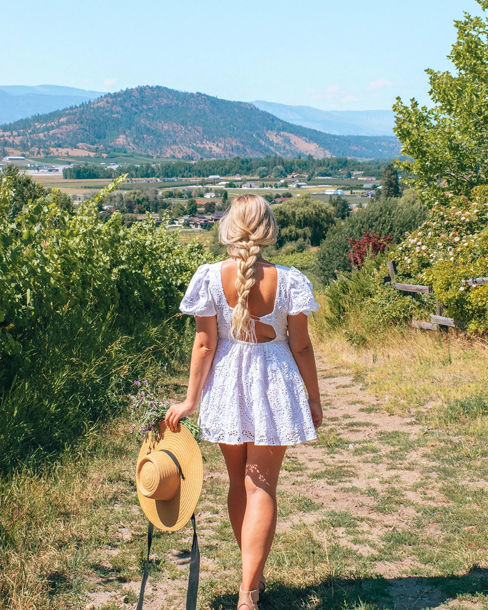 Looking for the best wineries in Kelowna for lunch? This guide is for you! Here's a list of the best Kelowna wineries with restaurants to enjoy an amazing lunch with wine in the sun. Pictured here: Ancient Hill Winery