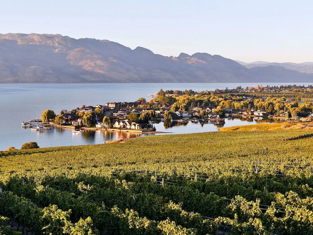 If you're heading to the Okanagan soon and planning on spending time in Kelowna, you don't want to miss this guide to the best wineries in Kelowna! From organic wineries to wineries with the best view, this guide will help you plan your visit to Kelowna’s incredible wine region.
