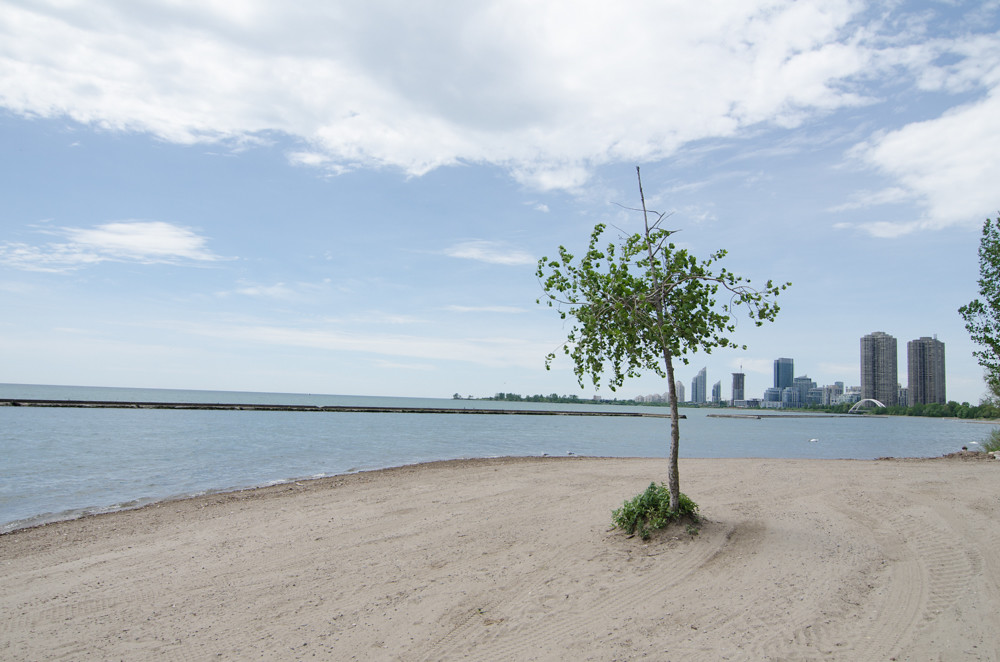 Looking for a great beach to spend a hot summer day laying in the sun on? This guide to the best beaches in Toronto is for you! Whether you're looking for a relaxing and quiet beach hang, the perfect beach for a family picnic, or want to enjoy the beach life in a more lively environment, there is Toronto beach for you. Pictured here: Sunnyside Beach
