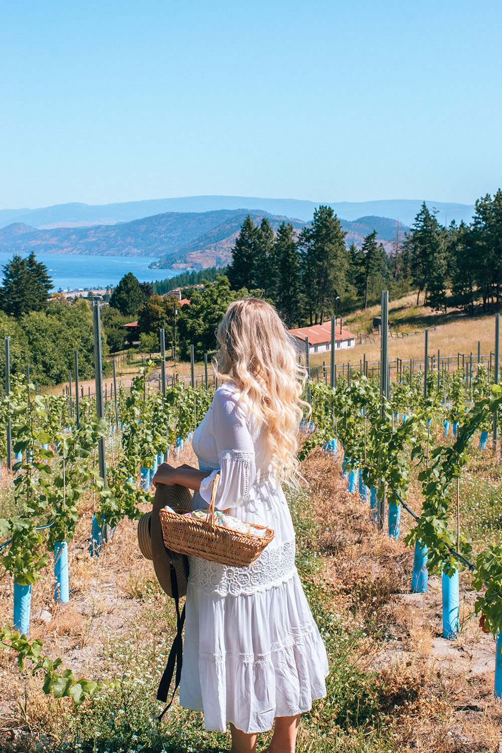 Planning a trip to Kelowna soon? This guide covers all the best things to do in Kelowna from a locals perspective! From wineries and cideries, to adventure activities, hikes, waters sports and more. This guide has everything you need to plan your visit to beautiful Kelowna! Pictured here: Black Swift Vineyards