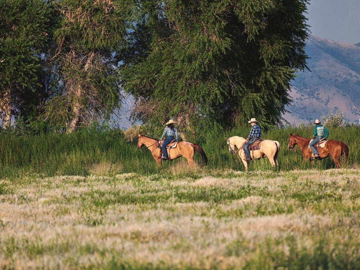 Planning a trip to Kelowna soon? This guide covers all the best things to do in Kelowna from a locals perspective! From wineries and cideries, to adventure activities, hikes, waters sports and more. This guide has everything you need to plan your visit to beautiful Kelowna! Pictured here: Trail riding at Myra Canyon Ranch