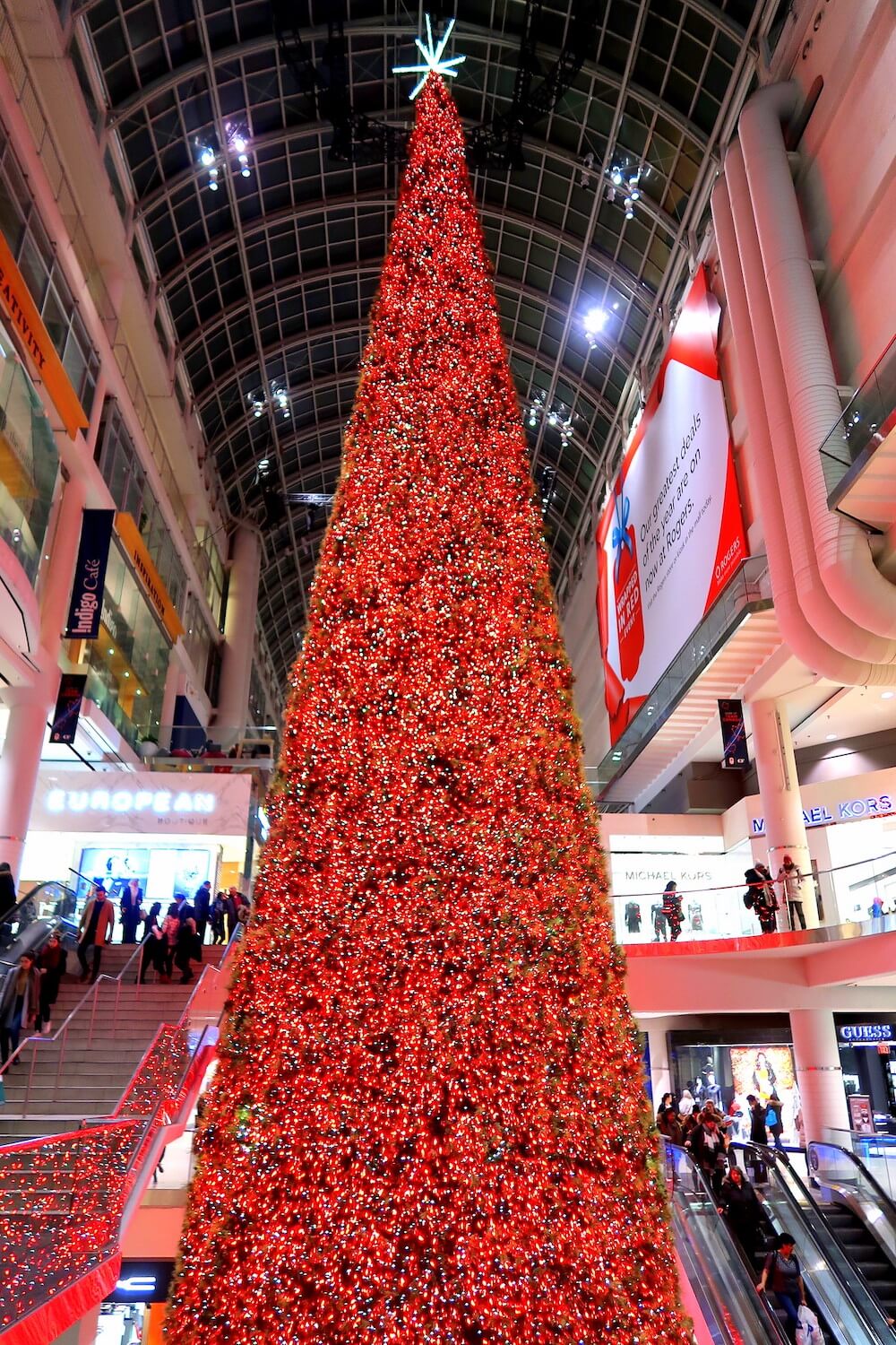 Looking for some cheap & free things in Toronto at Christmas time? This guide is for you! Toronto has so many incredibly fun & festive yet affordable activities to do during the Christmas season. From the Santa Claus parade to magical light displays, this guide includes all of the free and cheap activities to do in Toronto this holiday season. Pictured here: Visit Canada's tallest Christmas tree