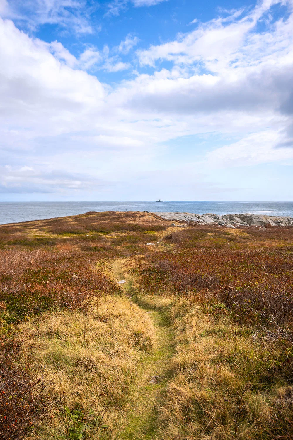 Shelburne County, Nova Scotia is an absolutely charming Canadian destination with so much to offer. Here you’ll find the most amazing seafood, incredible beaches, adorable lighthouses, seaside cottages, and the friendliest of locals. If you’re planning a trip to Shelburne County soon, this guide to the best things to do in Shelburne County is for you! This guide covers everything to do in Shelburne County, from Barrington to Shelburne, and beautiful Lockeport. Pictured here: West Head Bird Sanctuary and Coastal Trail in Lockeport