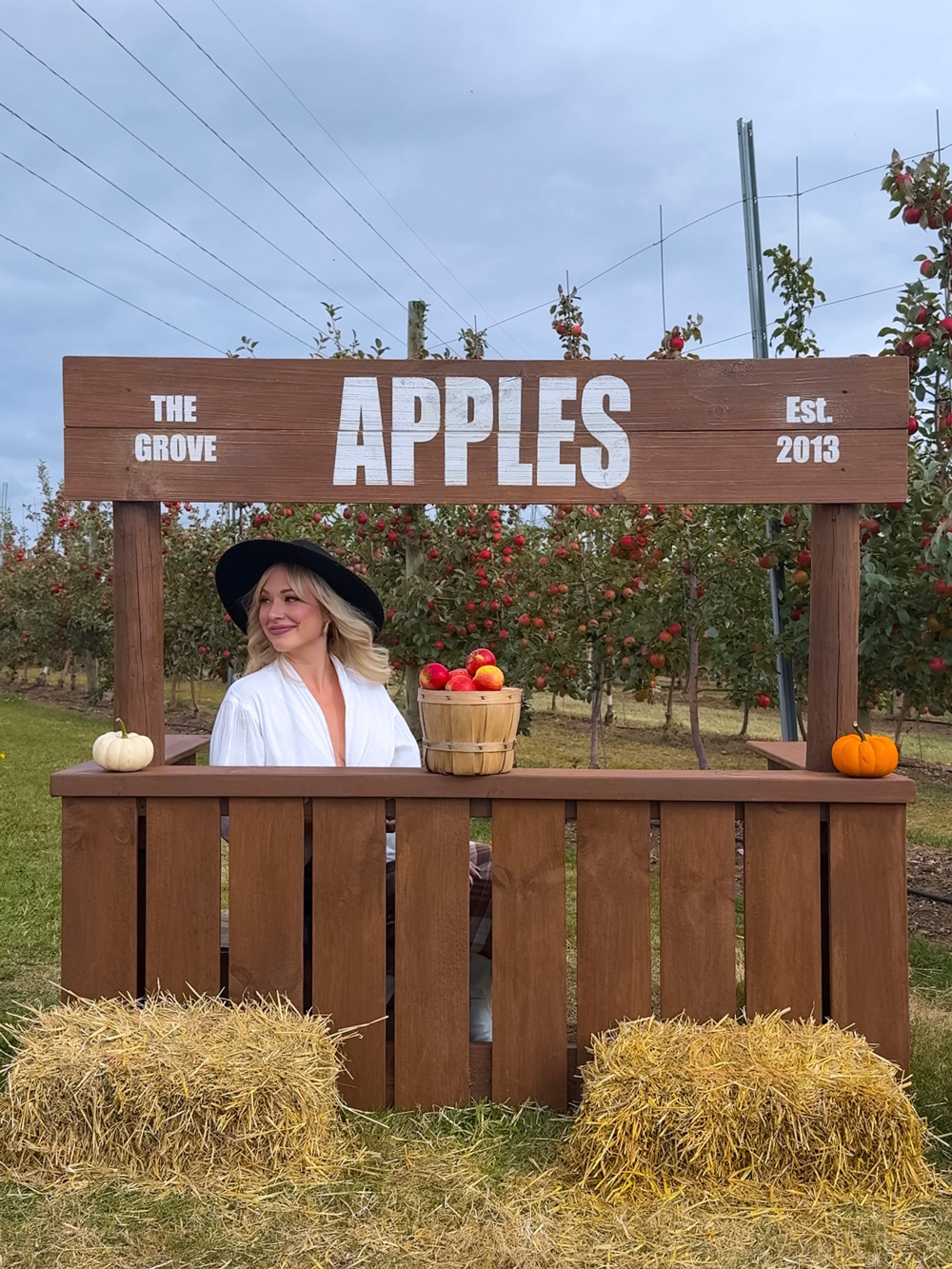 Fall apple picking at The Grove Orchard near Charlottetown, PEI &mdash; rustic apple stand surrounded by trees and hay bales.