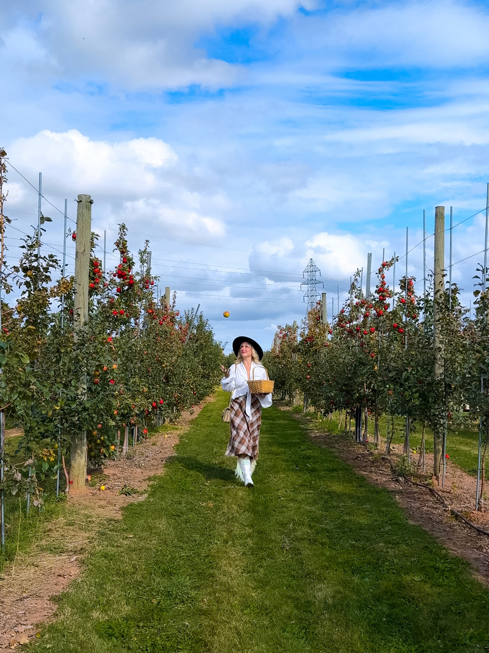 Woman walking through apple trees at The Grove Orchard near Charlottetown, PEI &mdash; enjoying a fall apple-picking day.