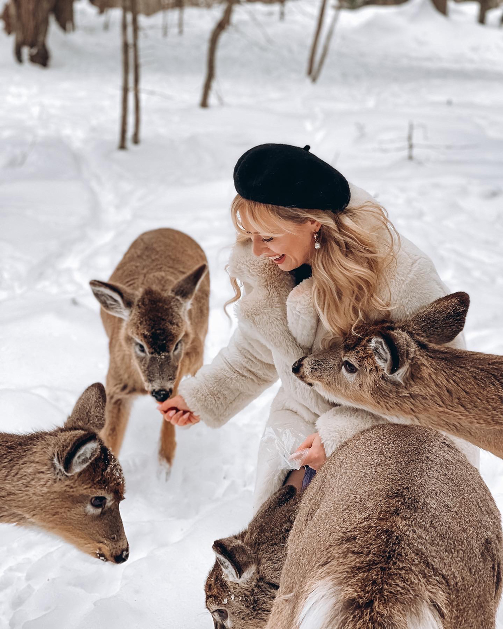 A woman surrounded by a group of deer at Parc Omega, smiling as she feeds them in the snowy forest.